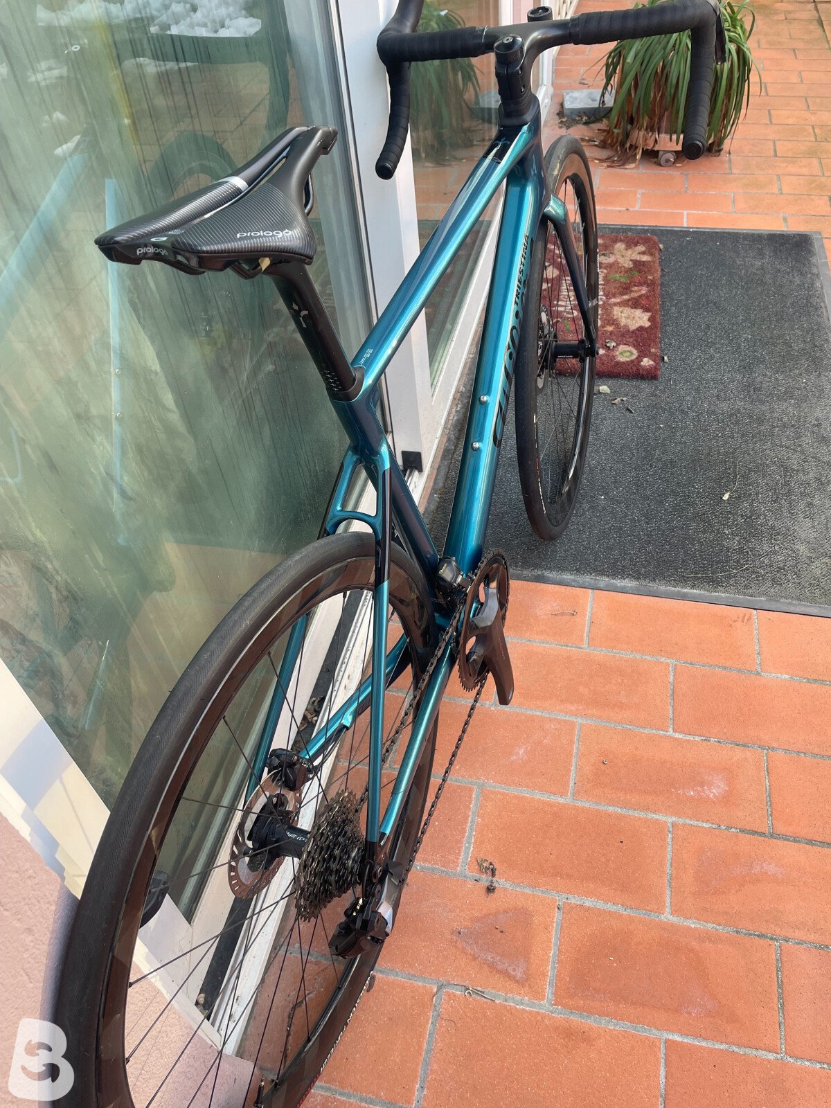 Wilier O SLR 2024
