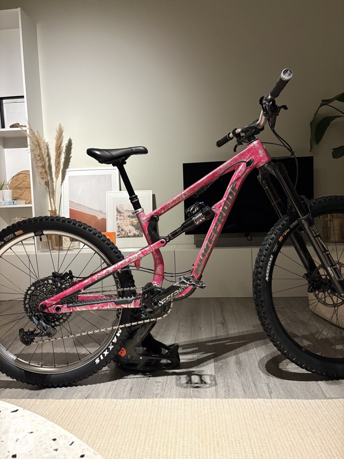 Nukeproof Mega 297 Pro custom 2024