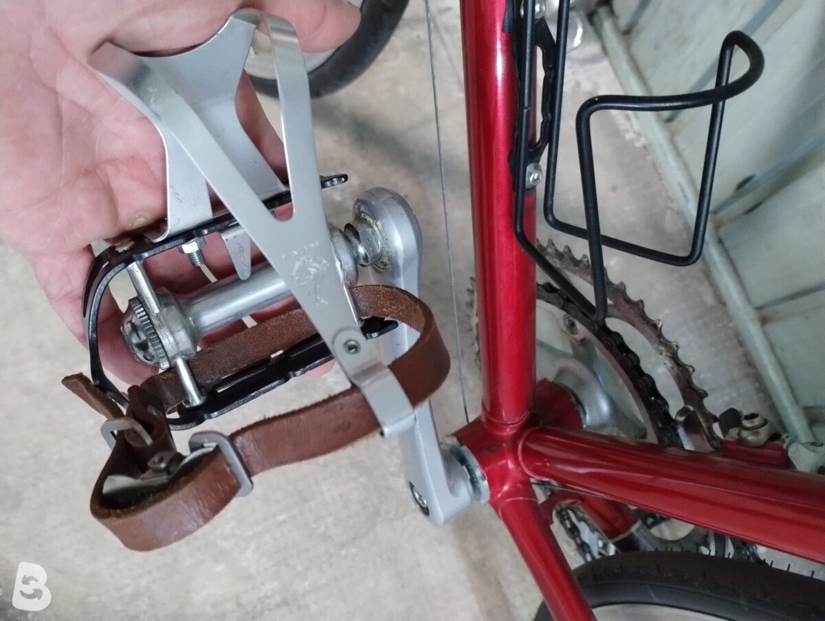 Daccordi corsa 2019