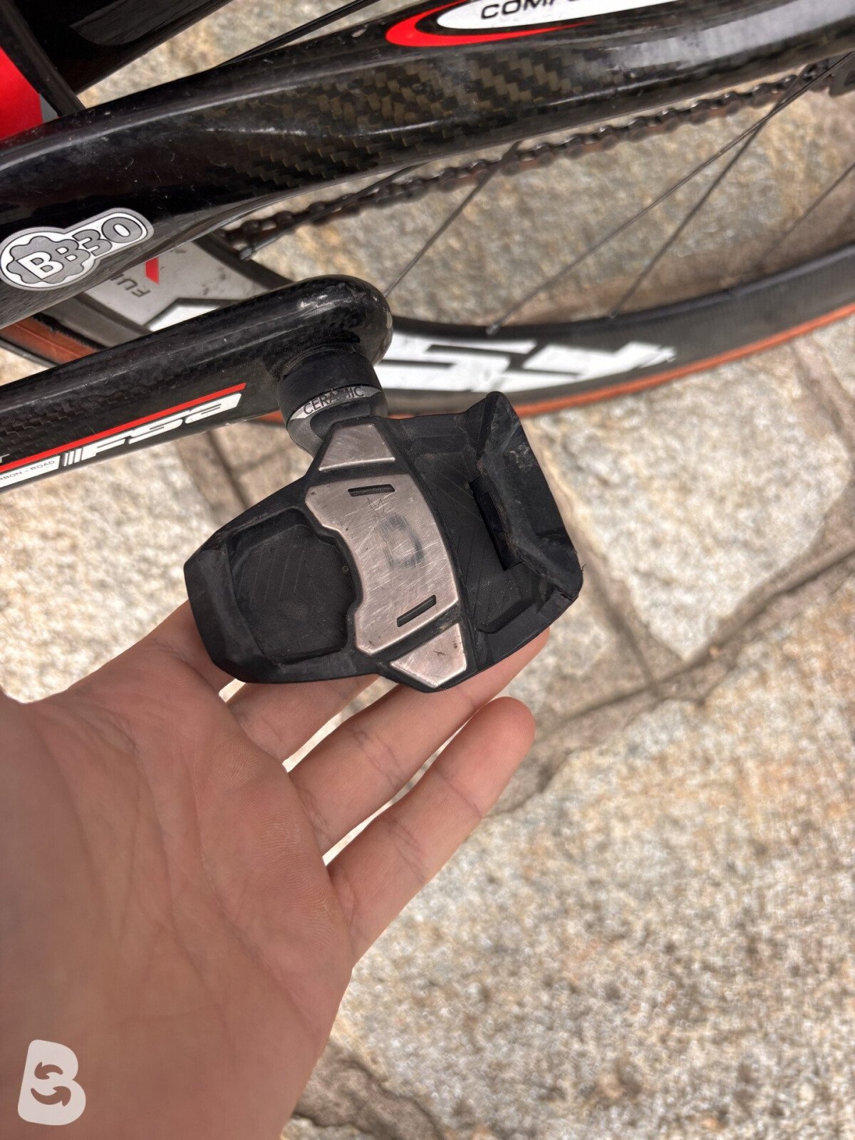 Kuota kult 2011