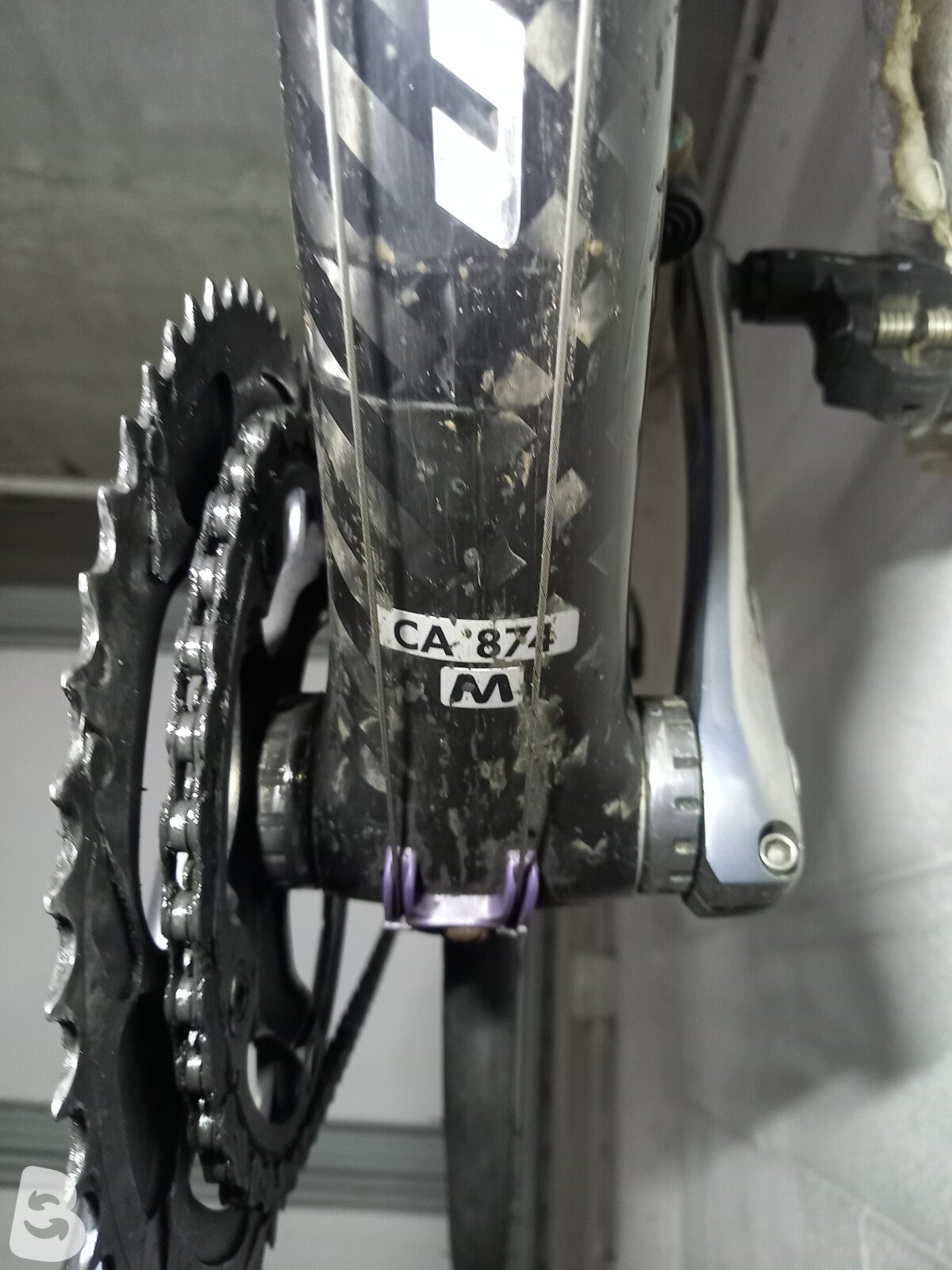 Scapin RX-4 2008