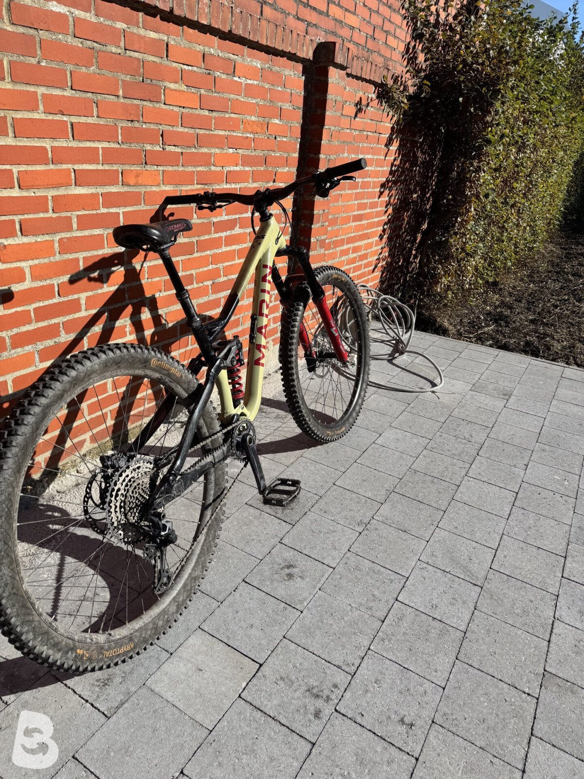 Marin Alpine Trail XR 2021