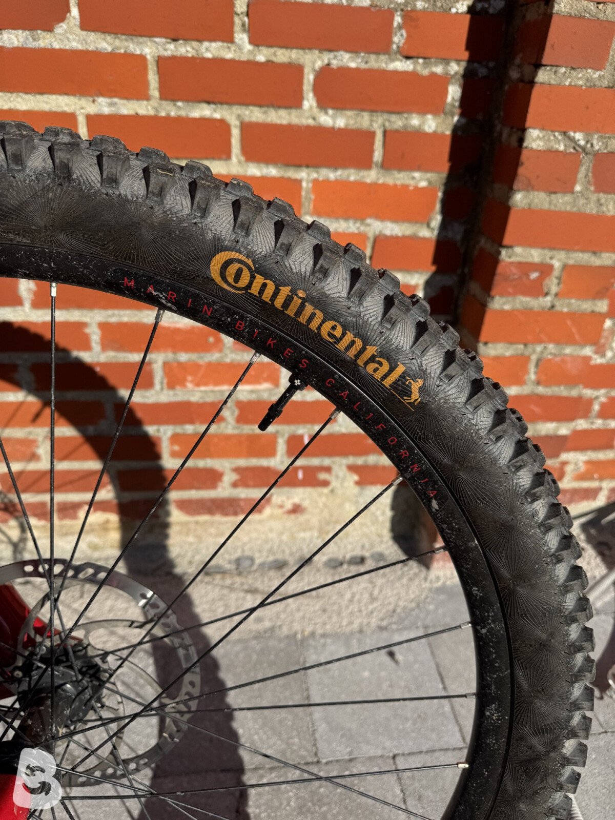 Marin Alpine Trail XR 2021