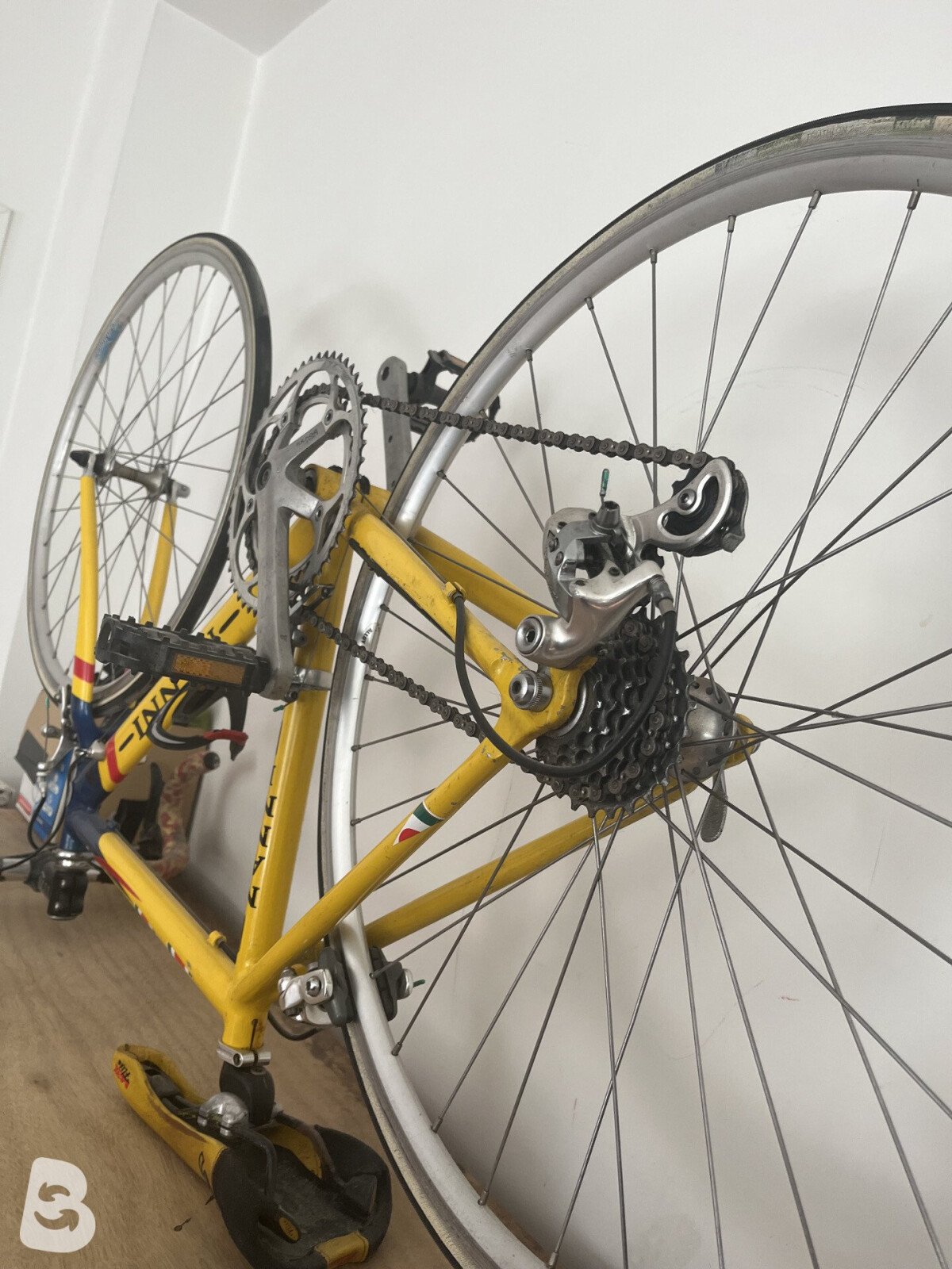 Nanni Campagnolo 1990