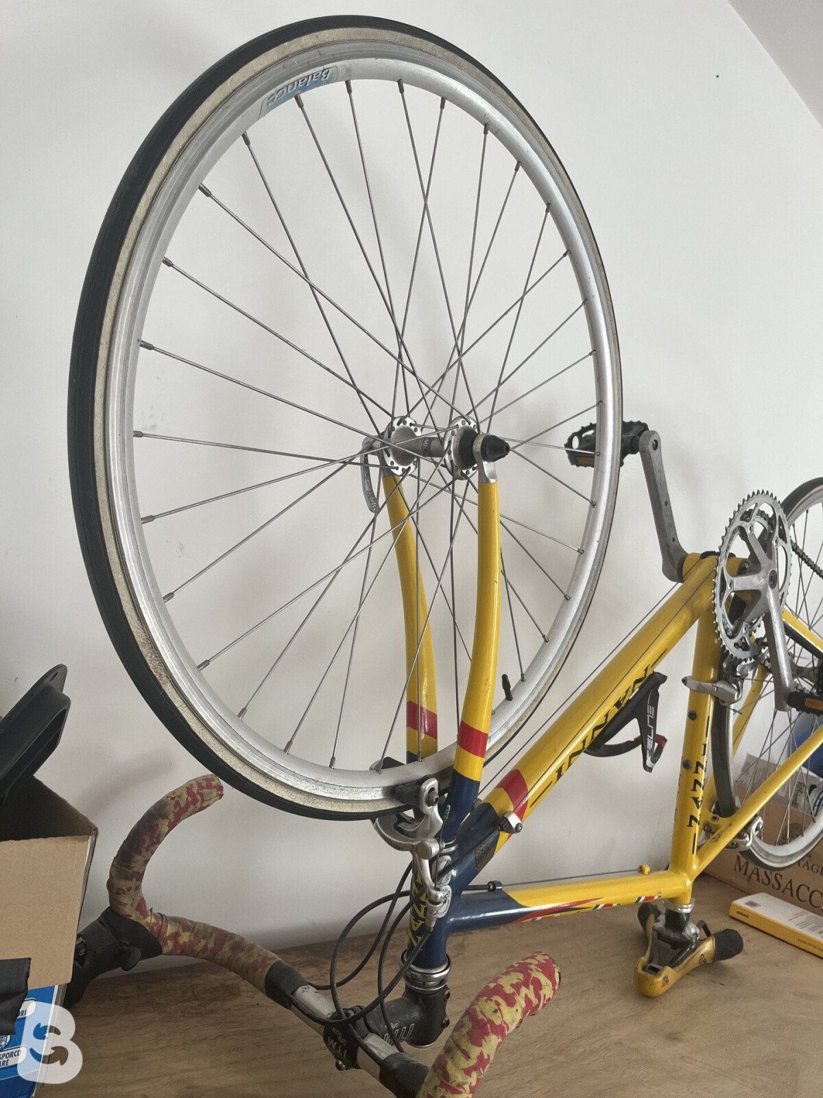 Nanni Campagnolo 1990