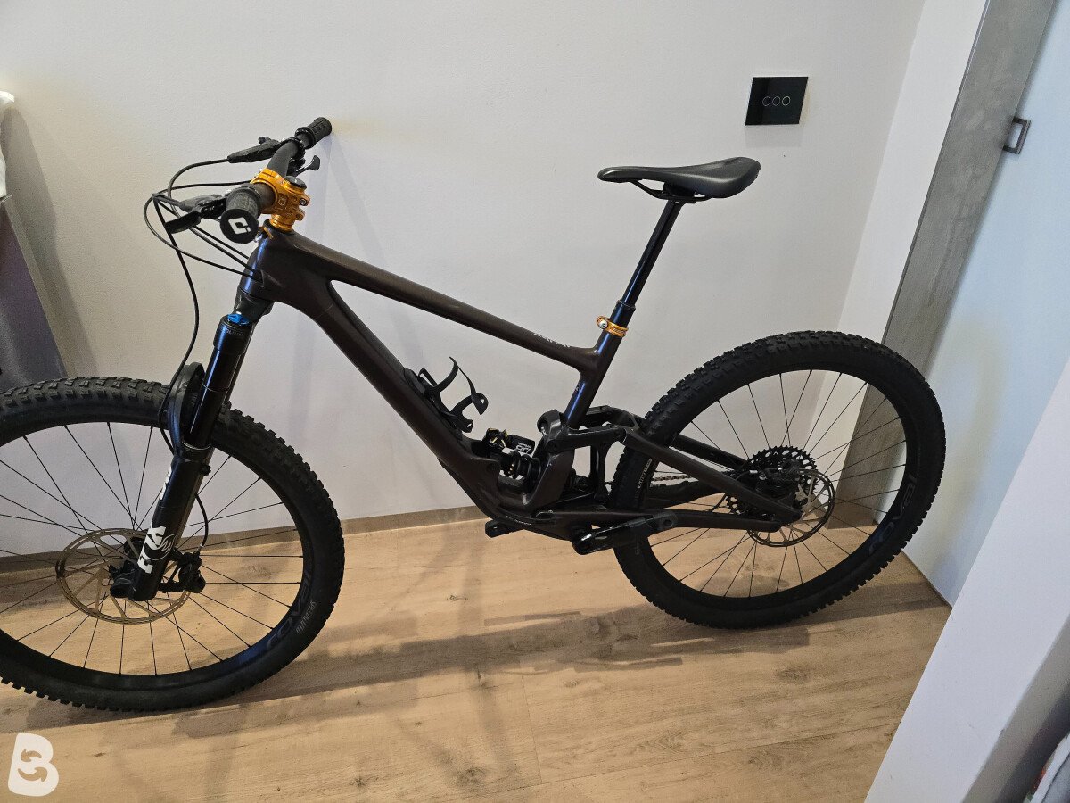 Specialized Enduro Expert 2022