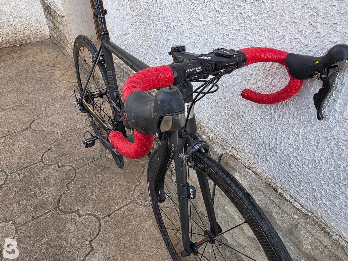 Rose Xeon 2019