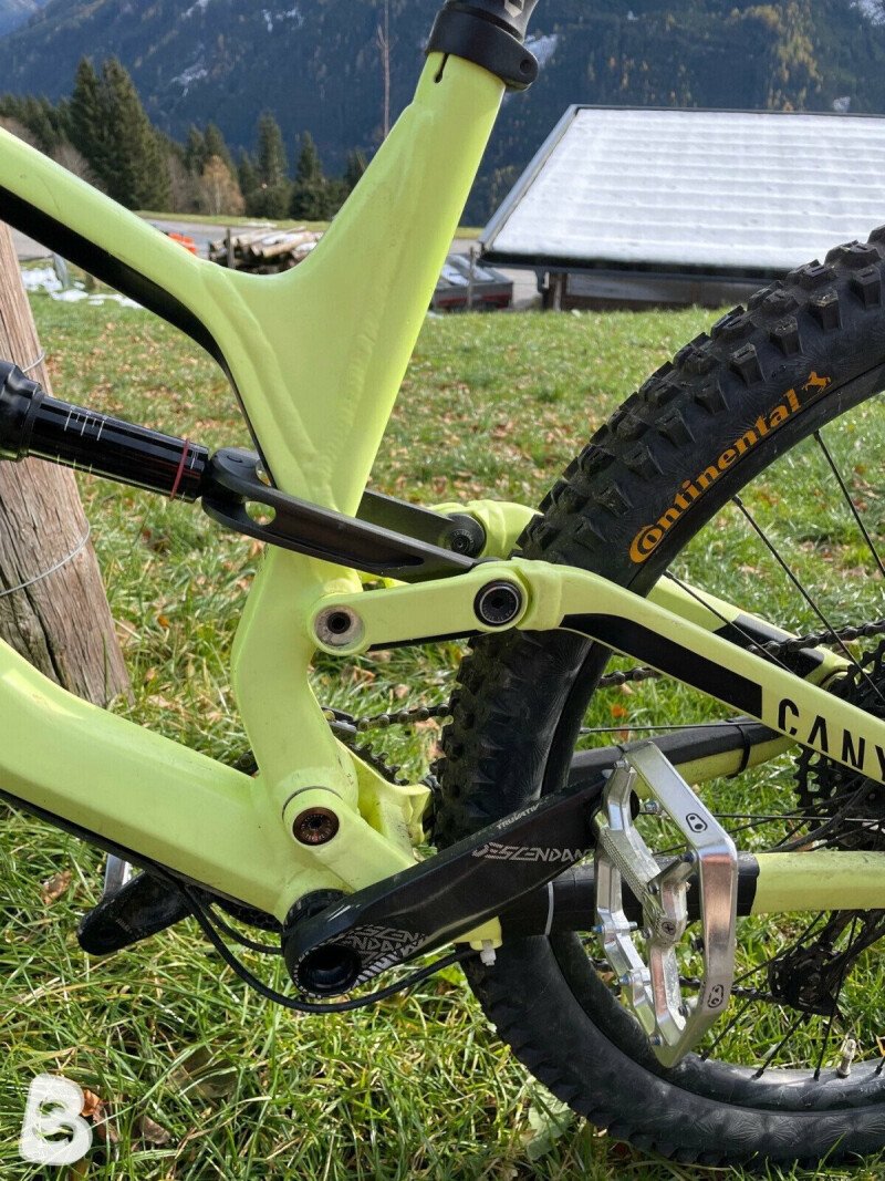 Canyon Torque AL 5.0 2020