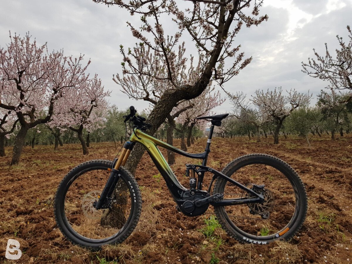 Giant Reign E+ 0 2020