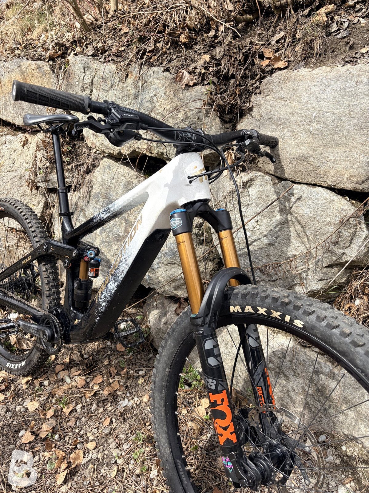 Transition Relay Custom 2024