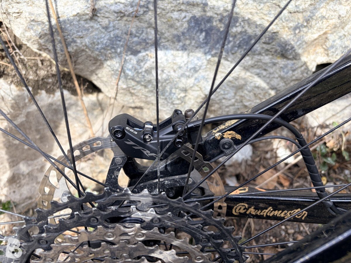 Transition Relay Custom 2024