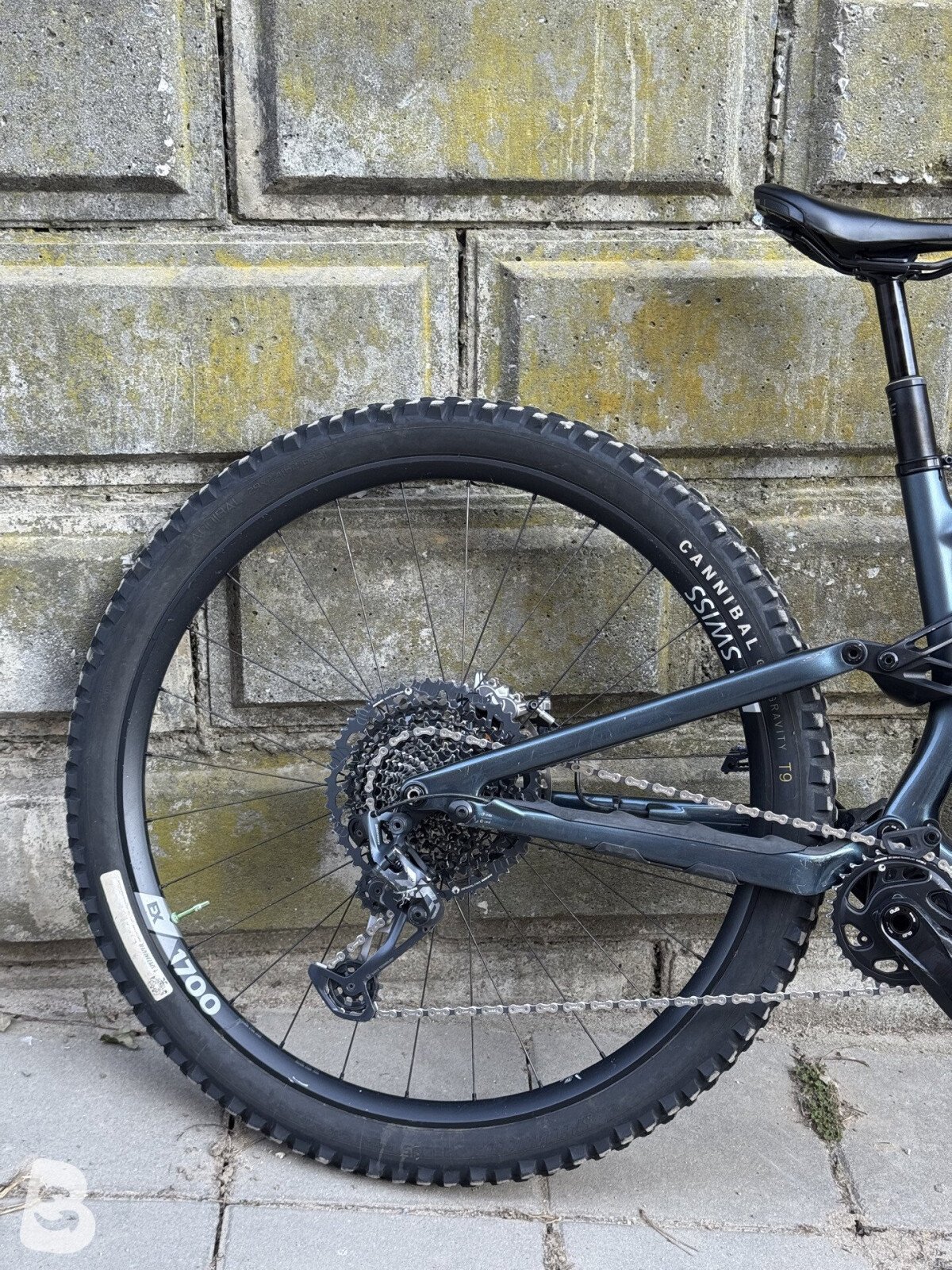Specialized Stumpjumper EVO Expert 2022