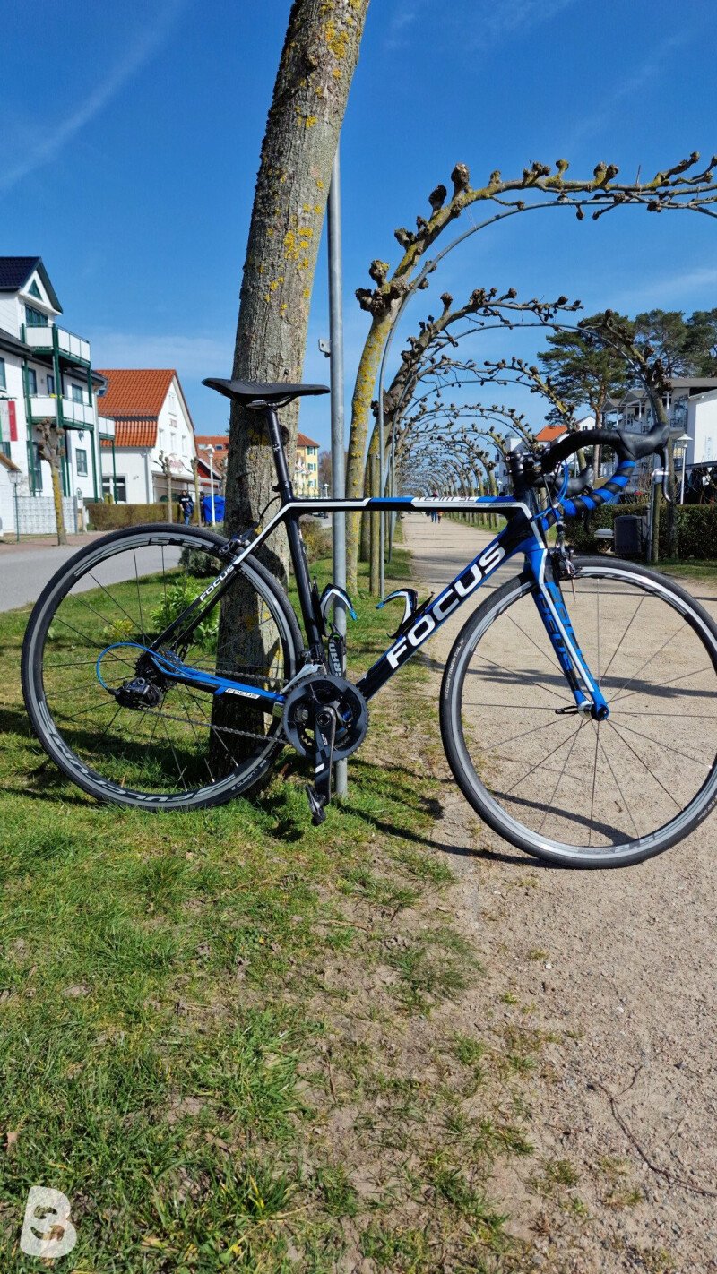 Focus Izalco 2014