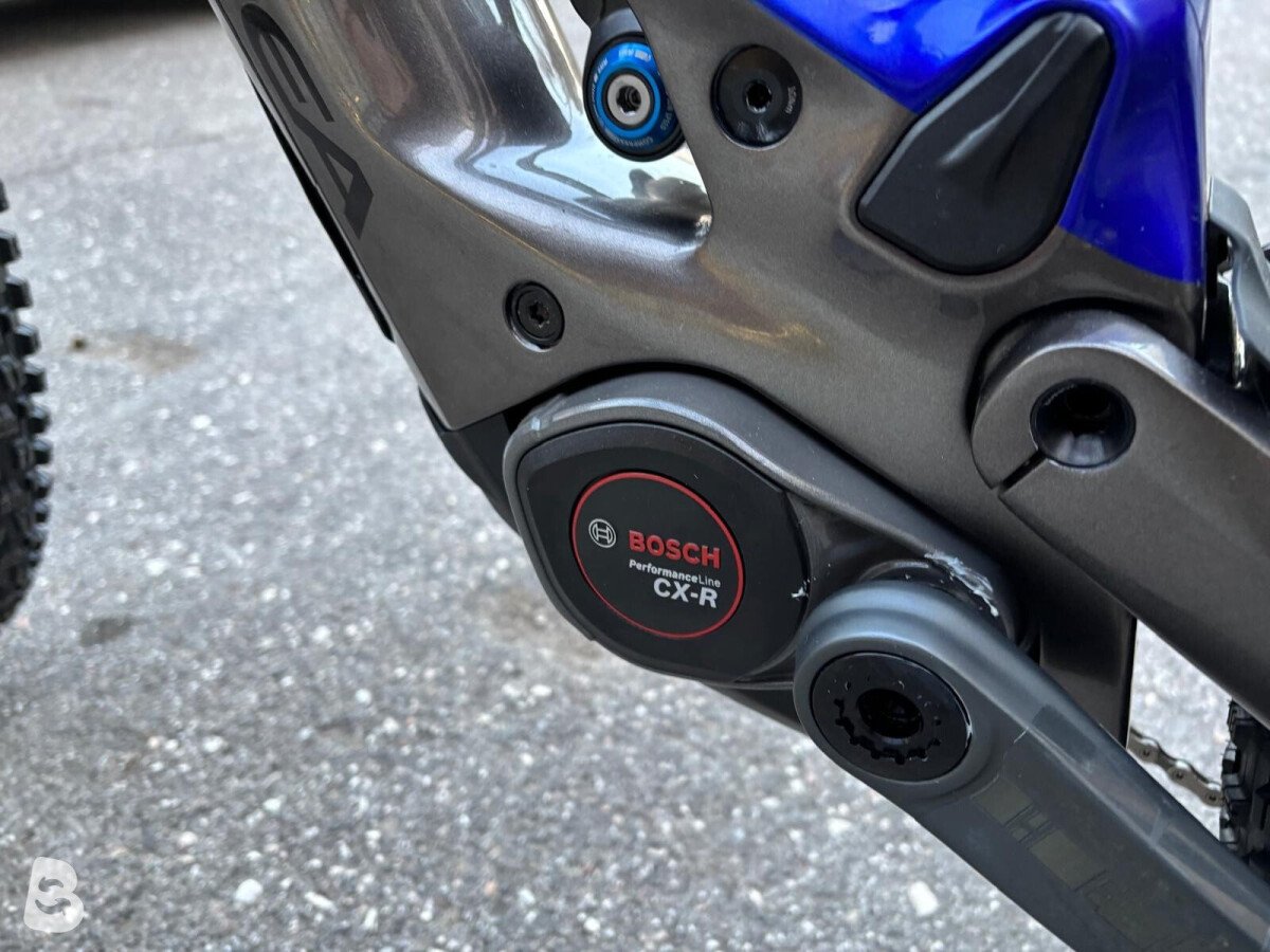 Orbea WILD M-LTD 2026