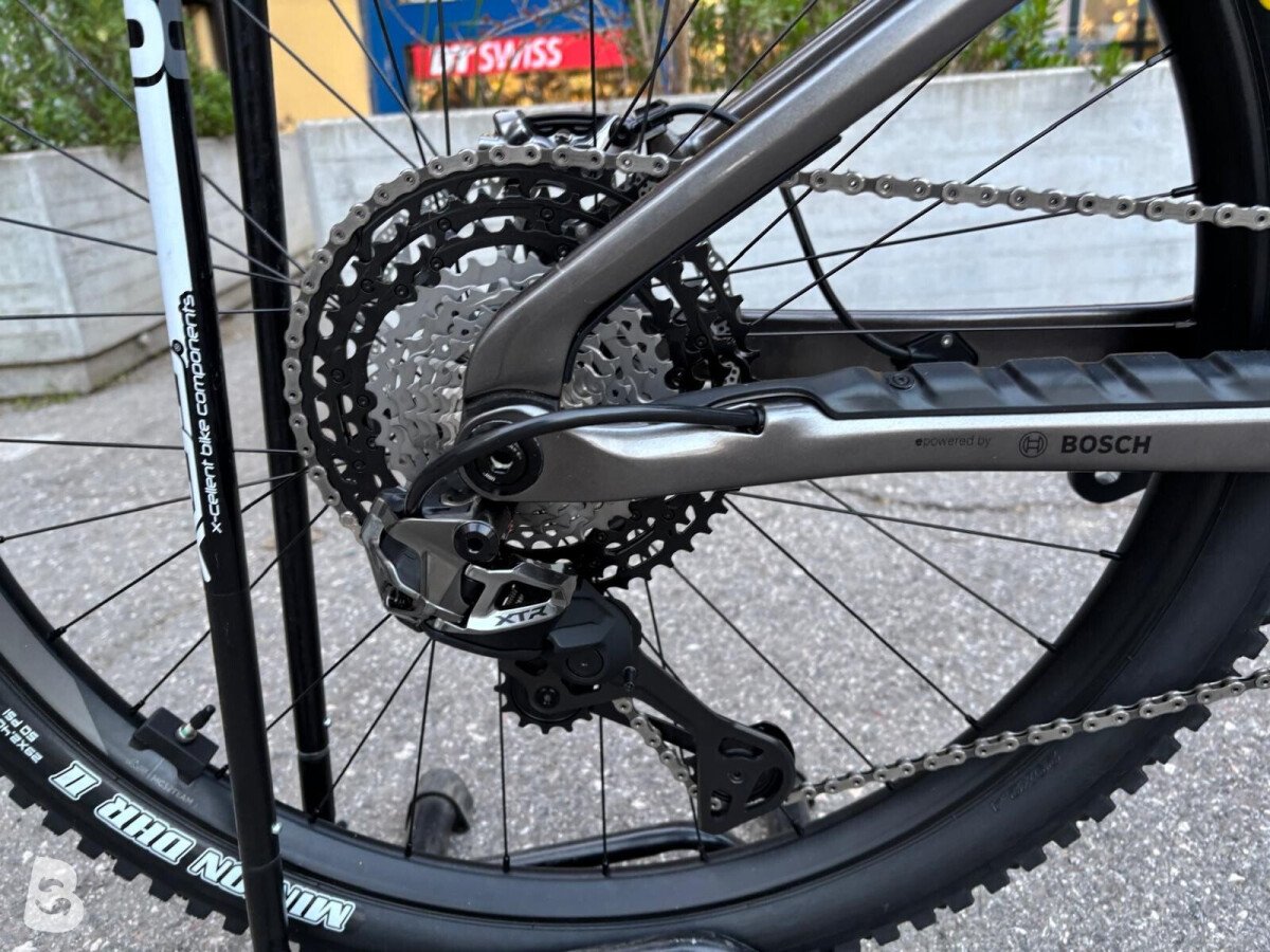 Orbea WILD M-LTD 2026
