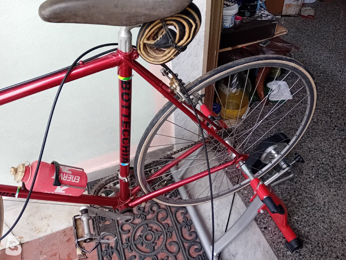 Bottecchia Senior 1980