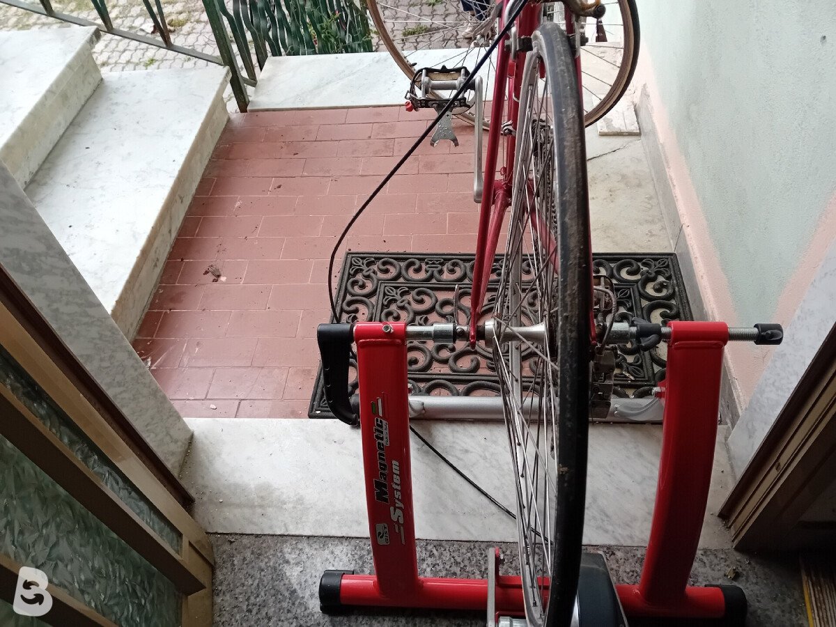 Bottecchia Senior 1980
