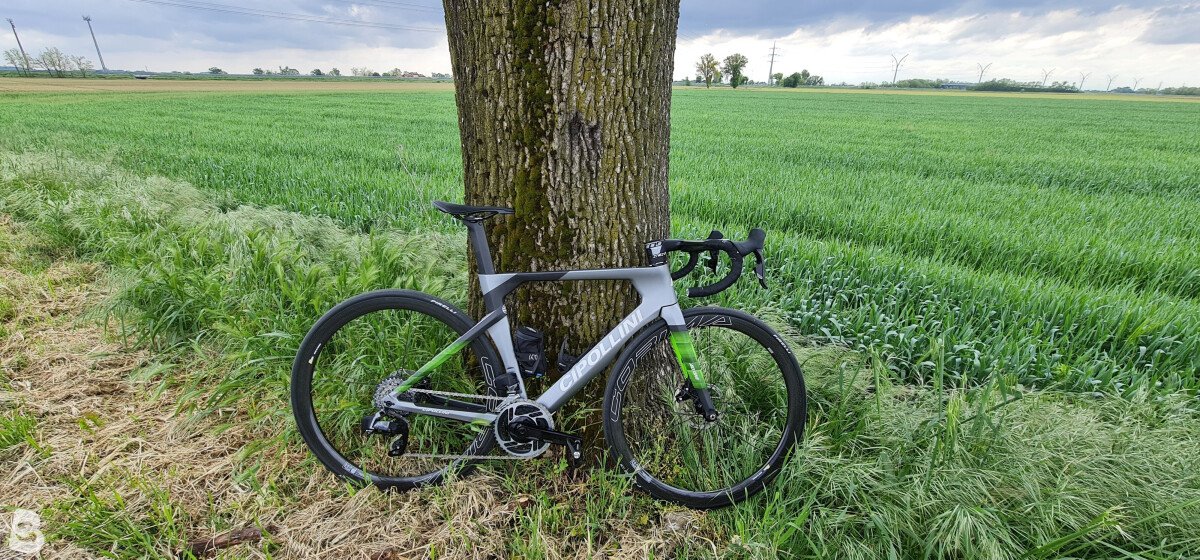Cipollini RB1K AD.ONE 2022