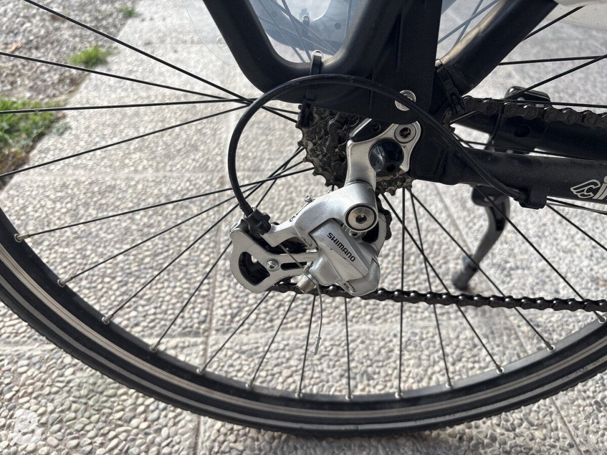 Cinelli Bootleg 2015