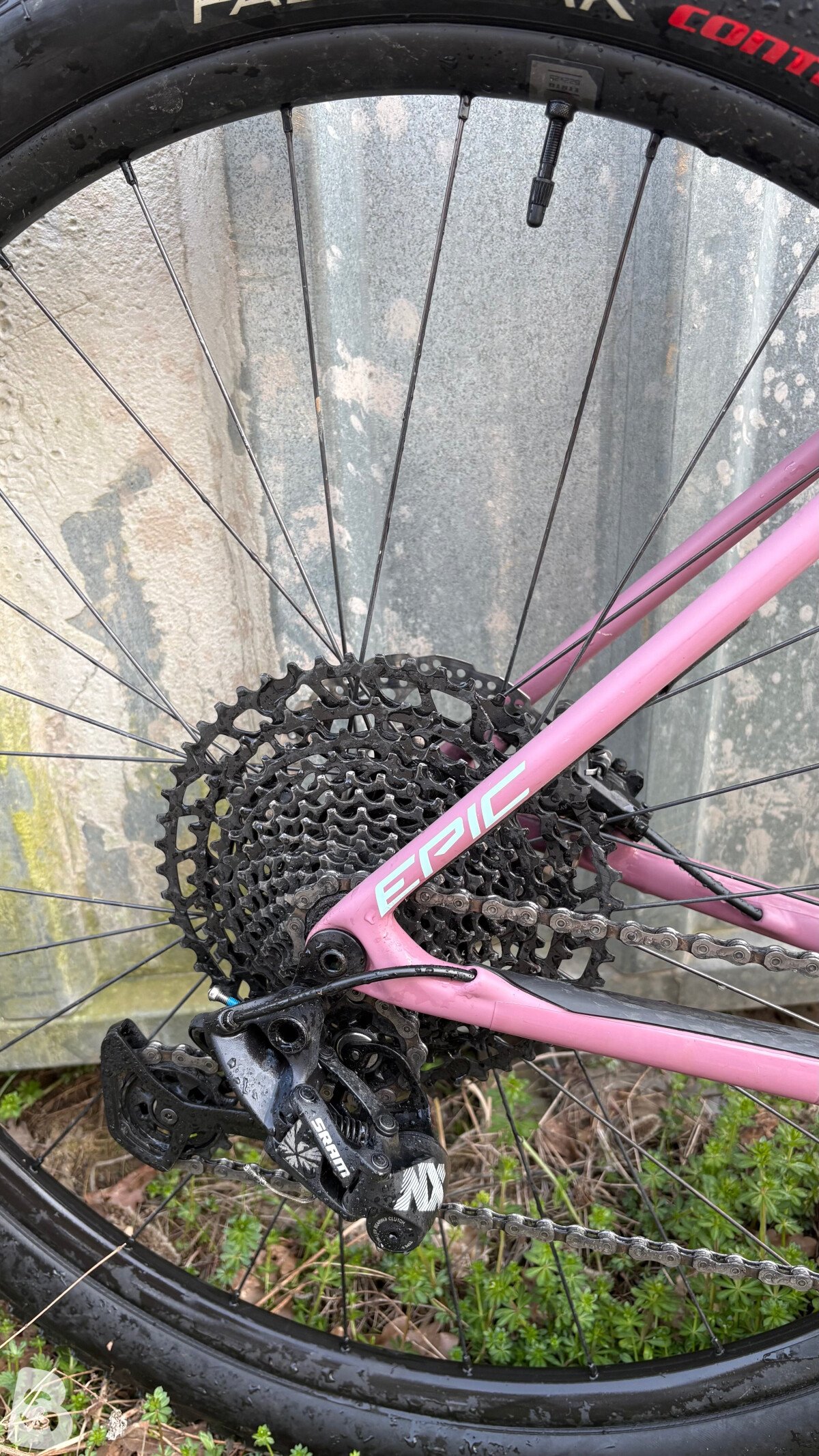 Specialized Epic Hardtail