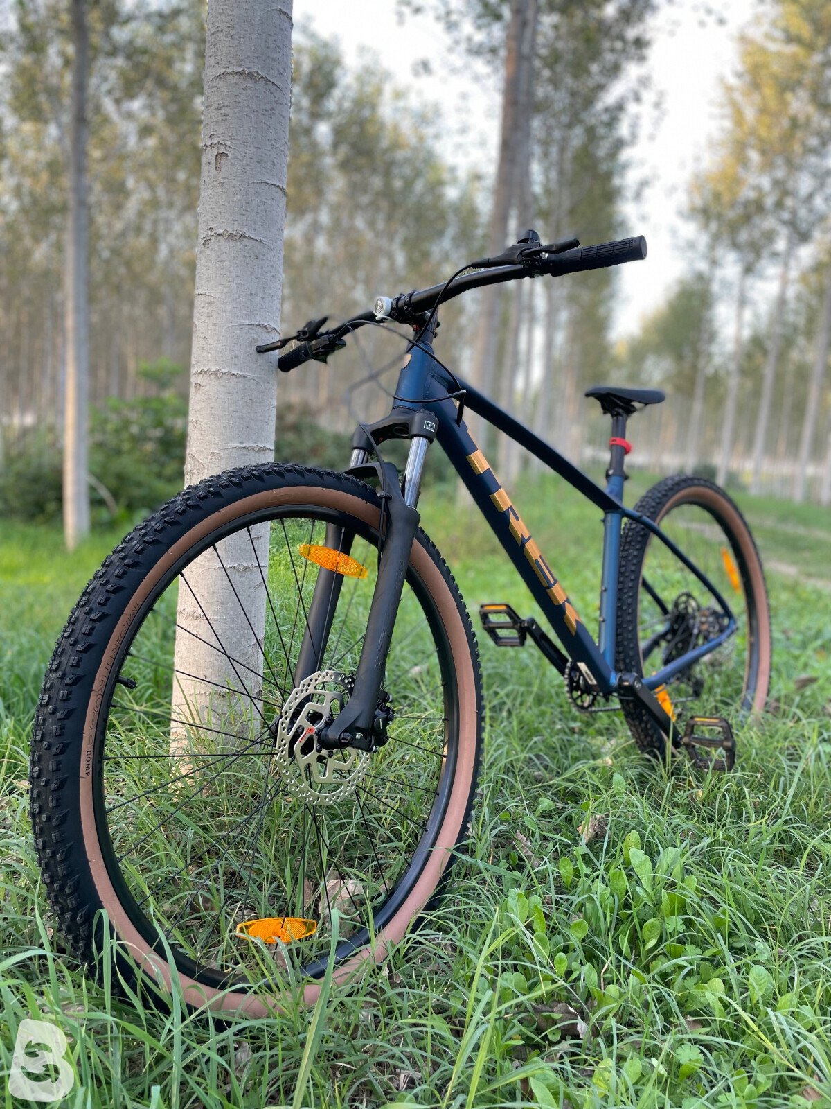 Trek Marlin 5 2026