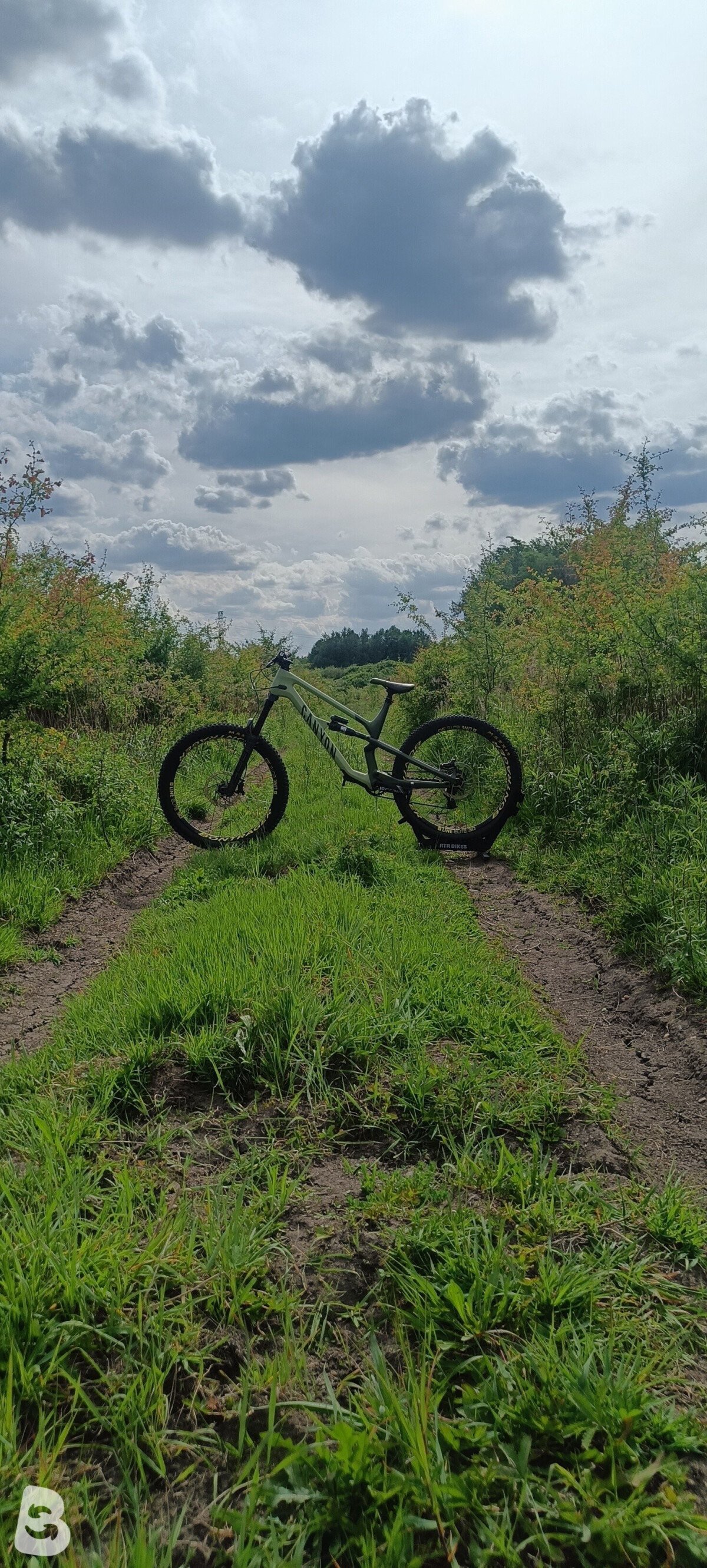Canyon Spectral CF Custom 2022