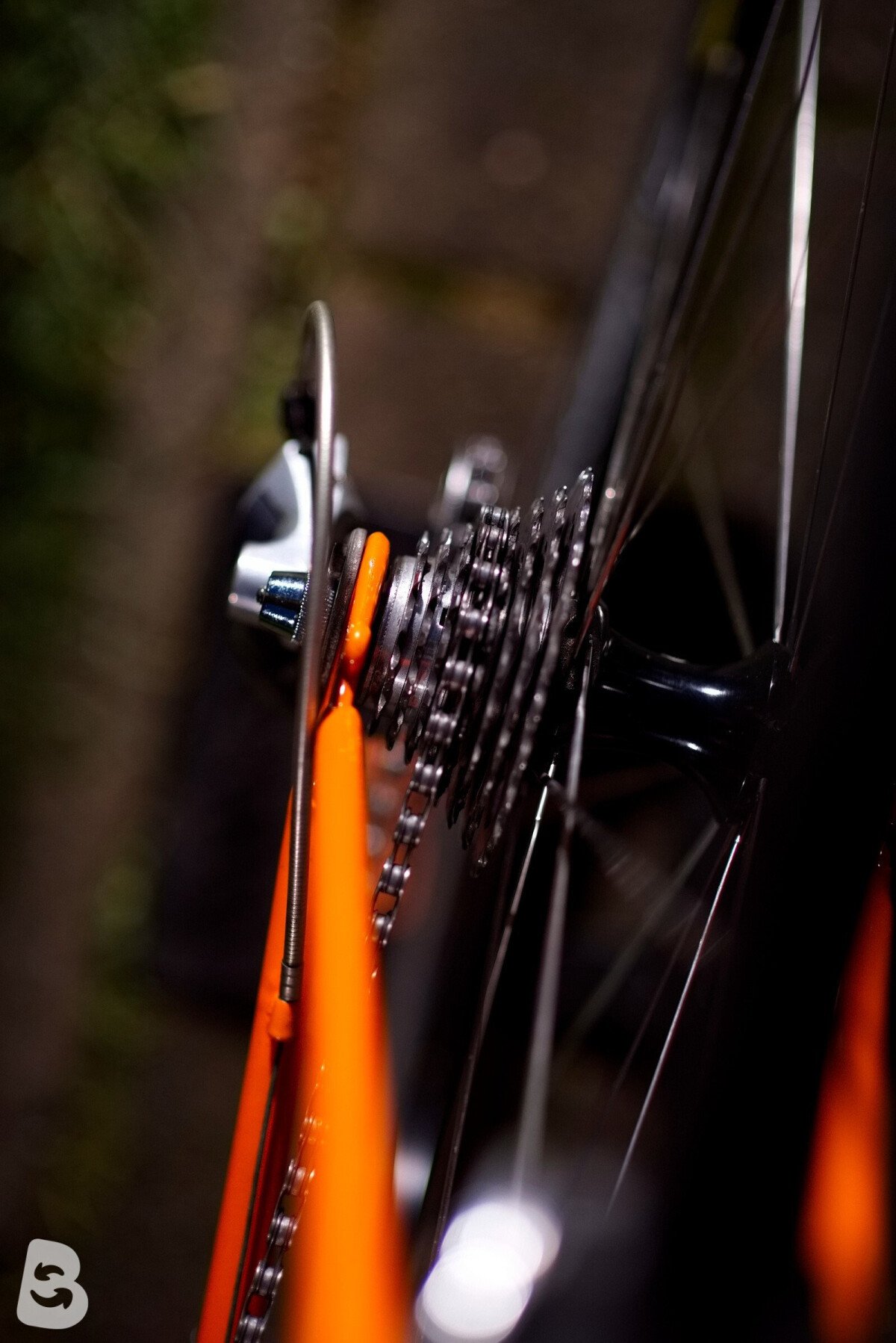 Colnago Favorit F1 1982