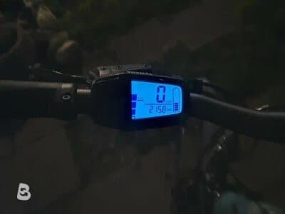 Raymon TourRay E 5.0 2020