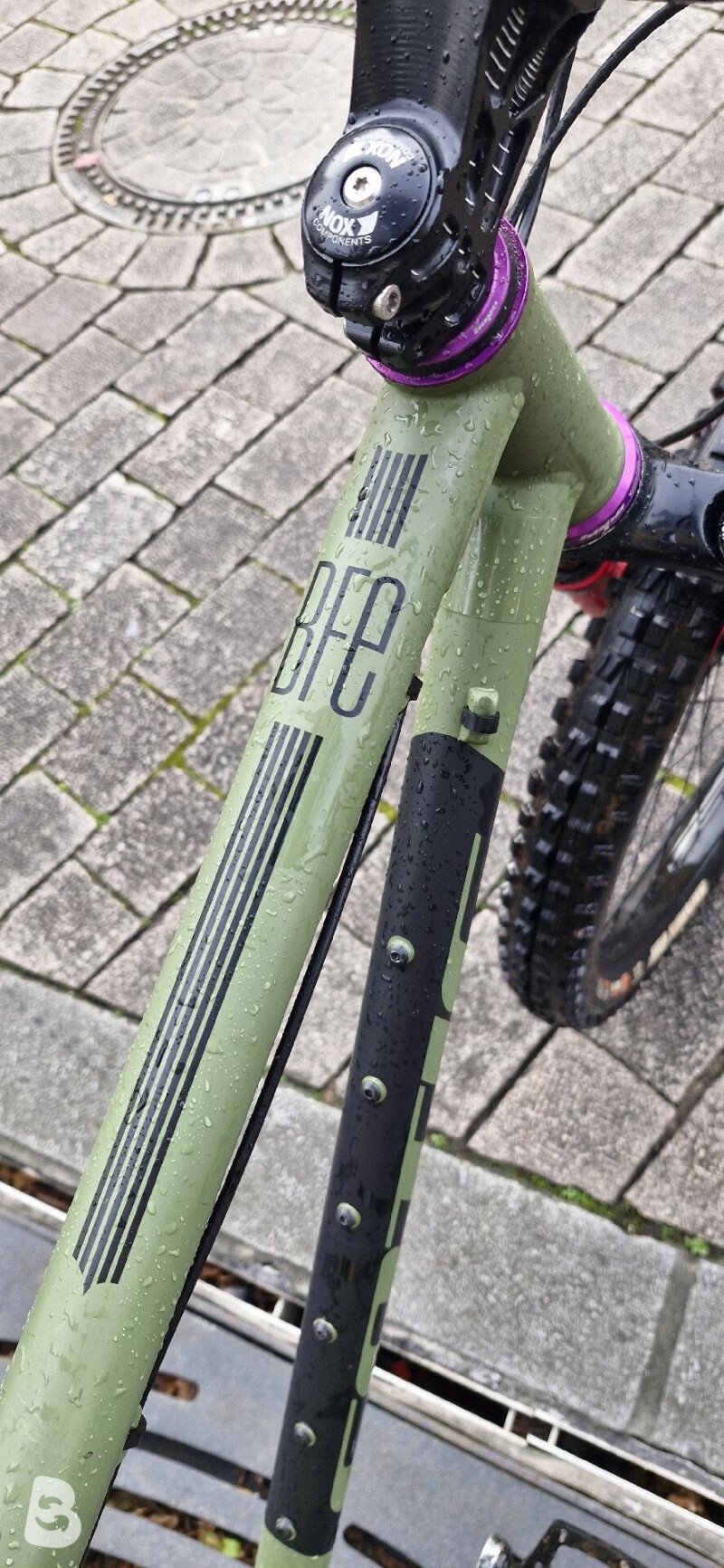 Cotic BFE 2024