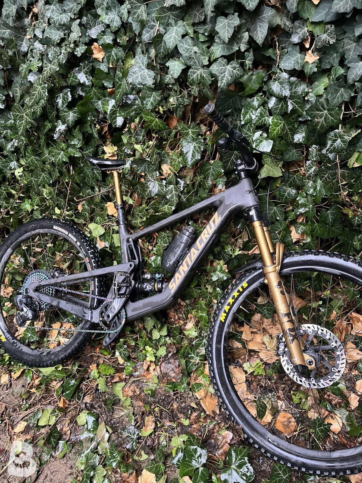Santa Cruz Bronson 2023