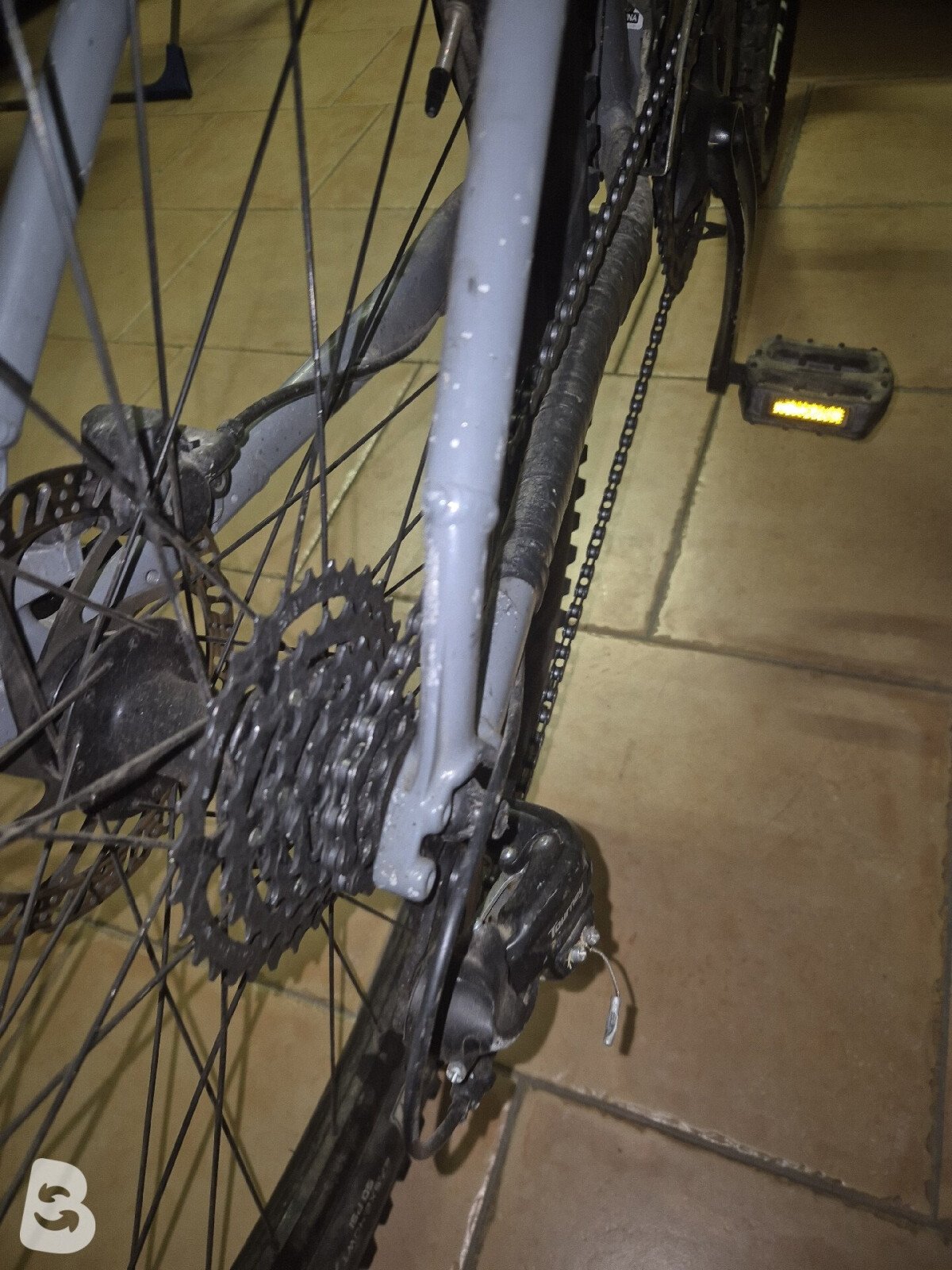 Trek Marlin 5 Women 2021