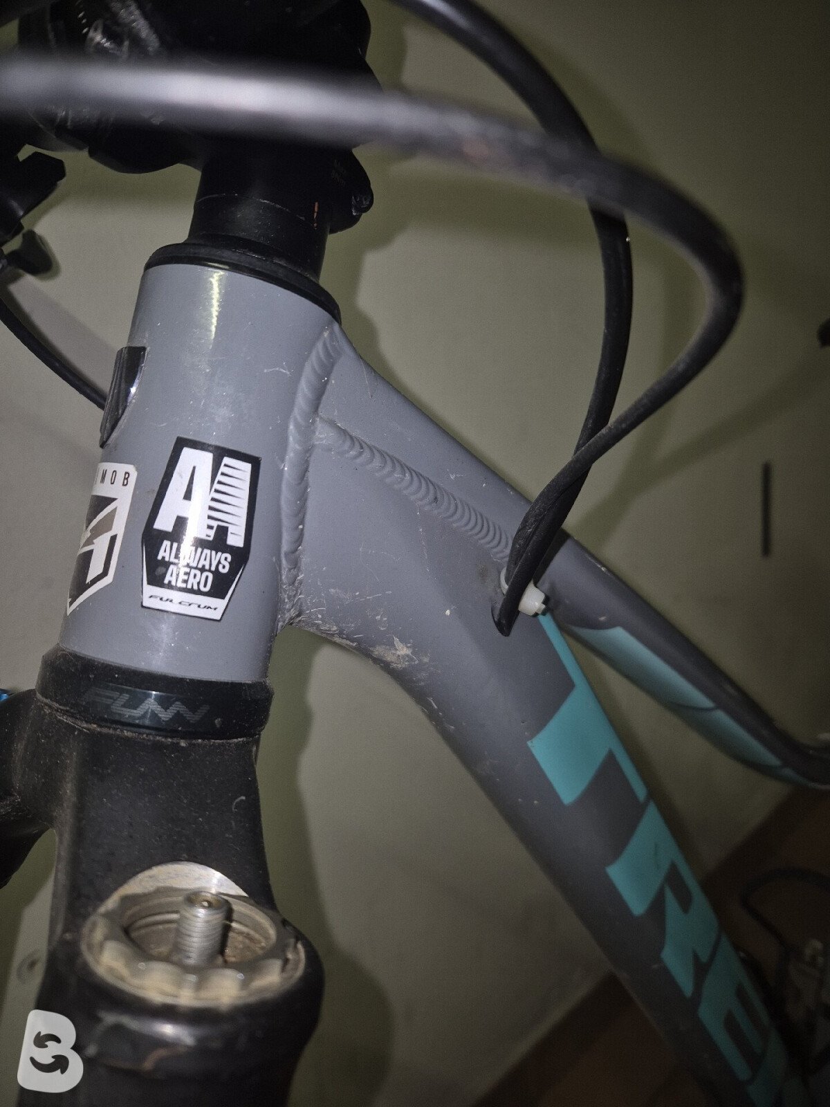 Trek Marlin 5 Women 2021