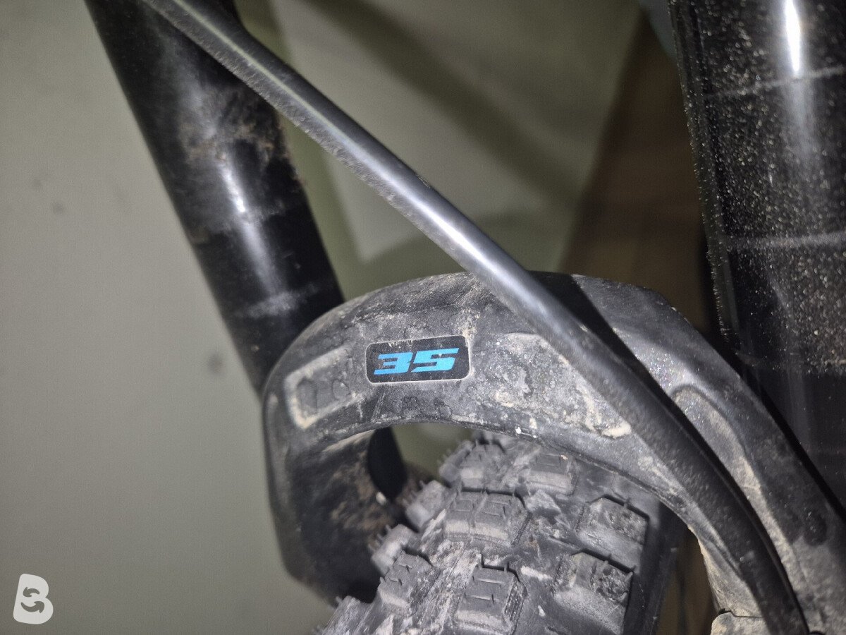 Trek Marlin 5 Women 2021