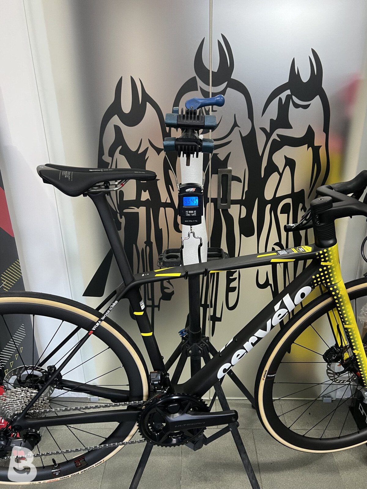 Cervelo R5 2026