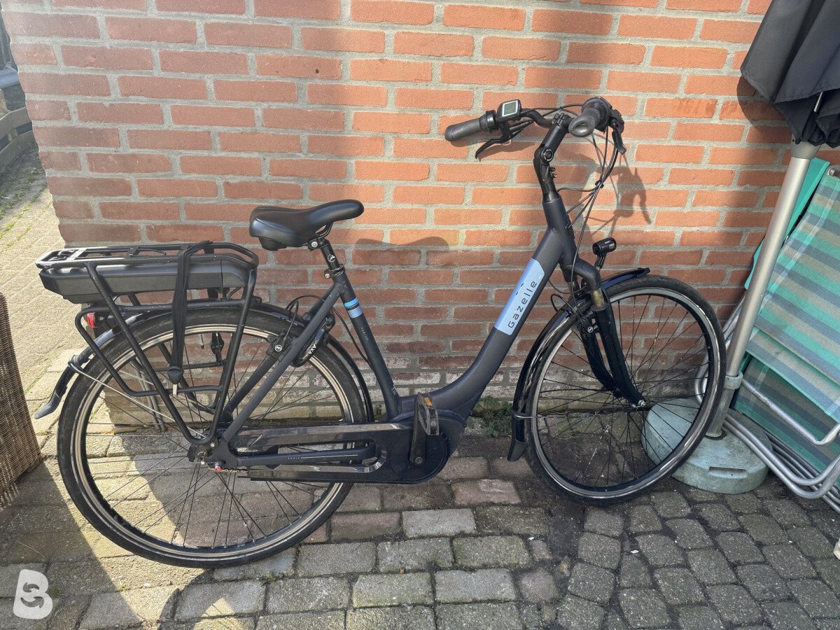 Gazelle - 2024