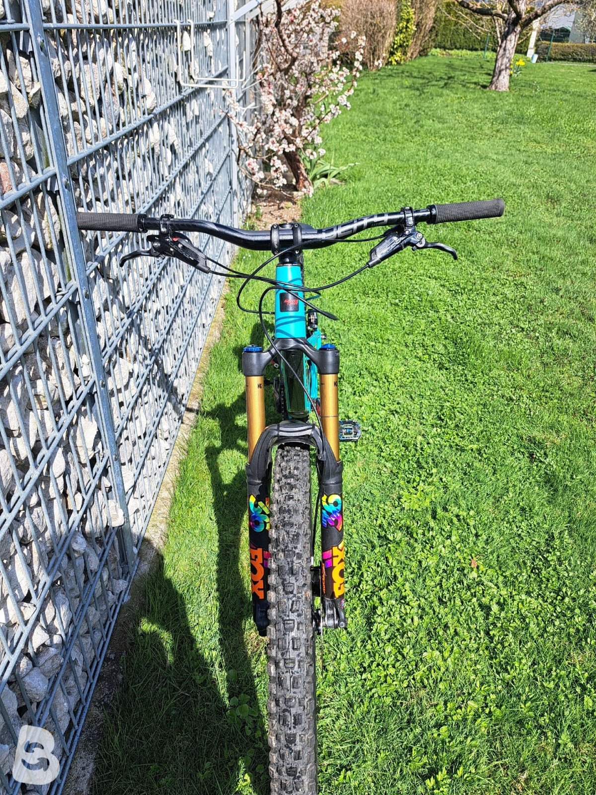 Santa Cruz Bronson custom 2022