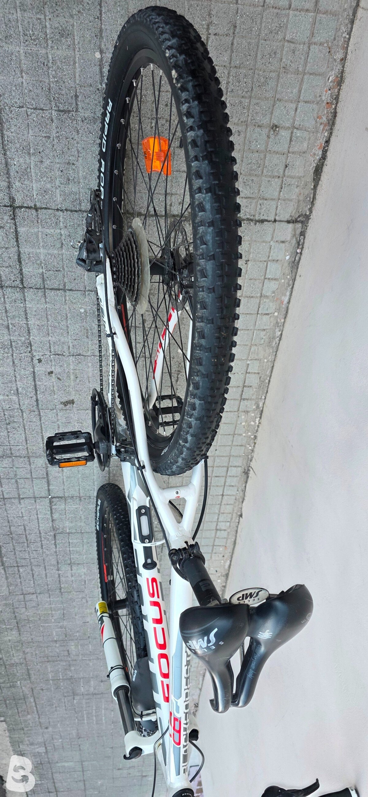 Focus Black Forest 29R 2013