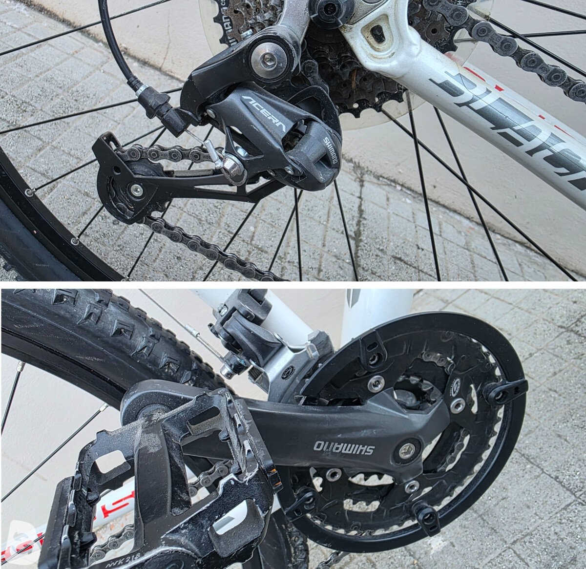 Focus Black Forest 29R 2013