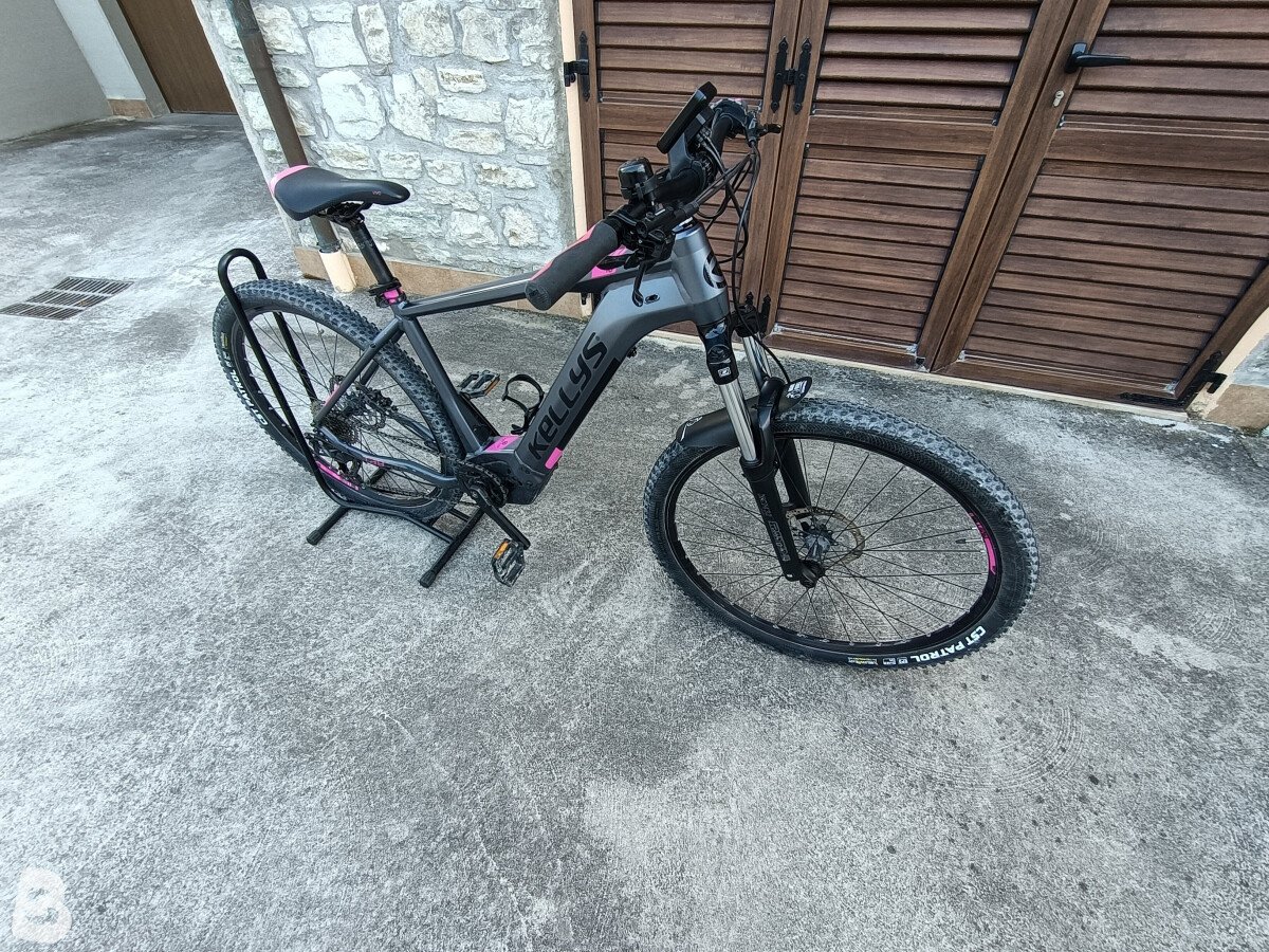 Kellys Tayen 10 2021