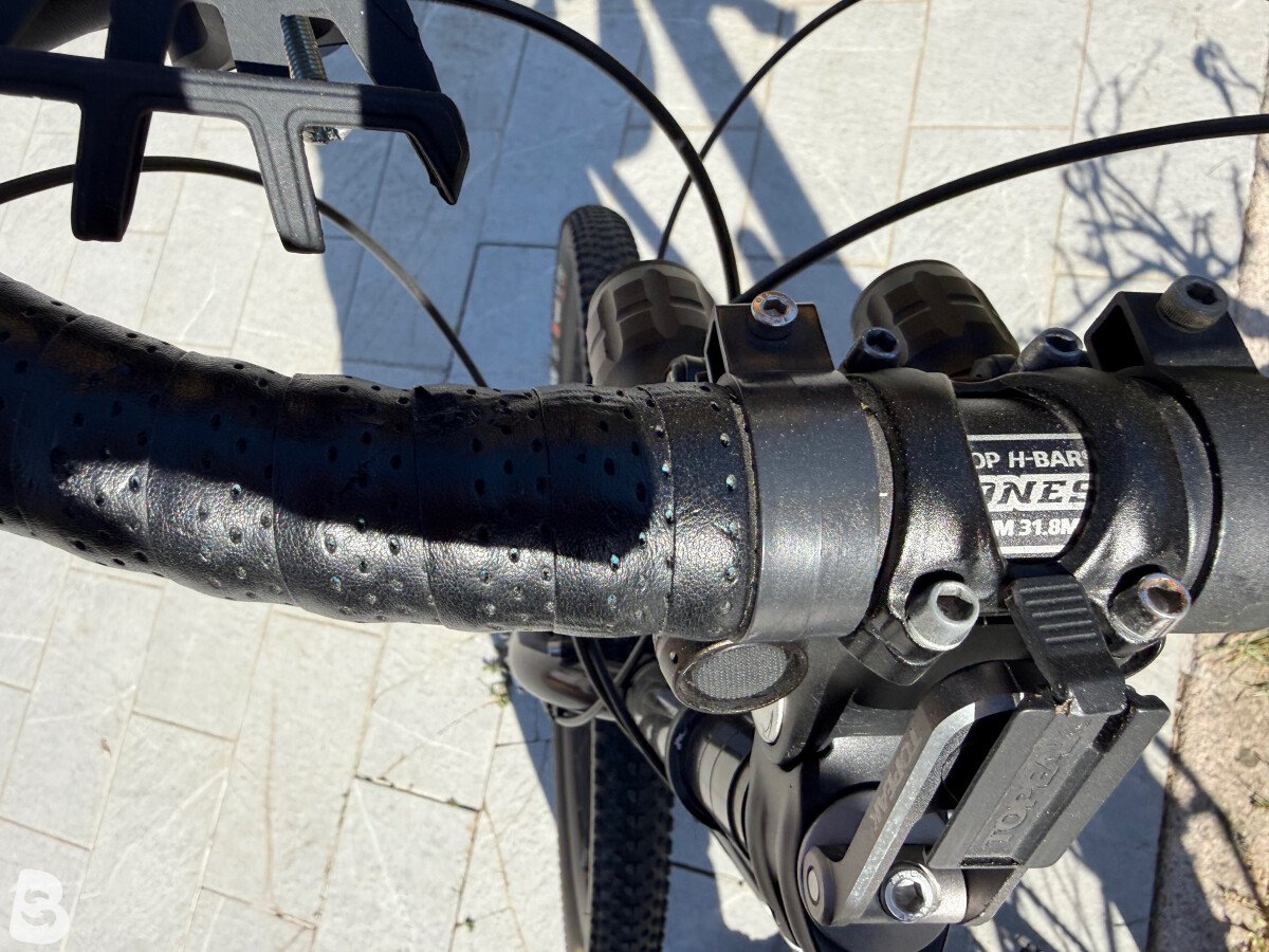 Surly Ogre 2021