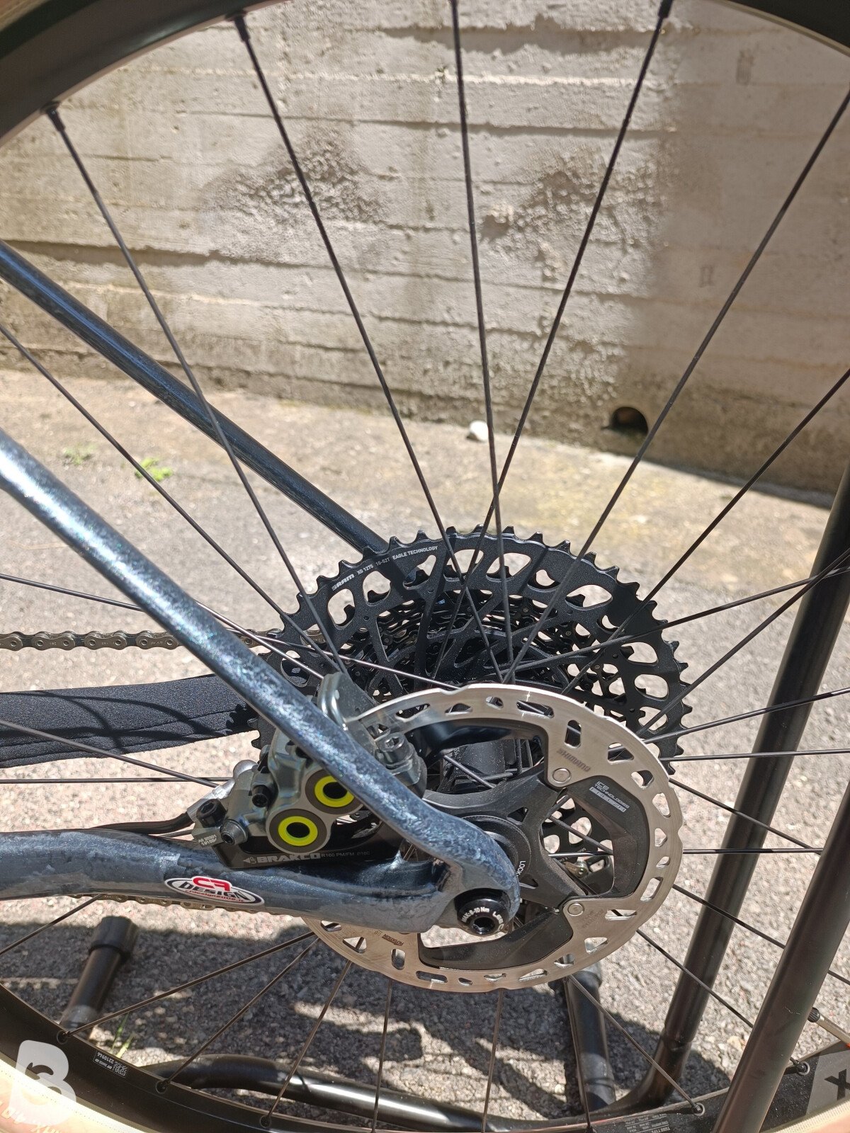 Torpado Ribot x 2019