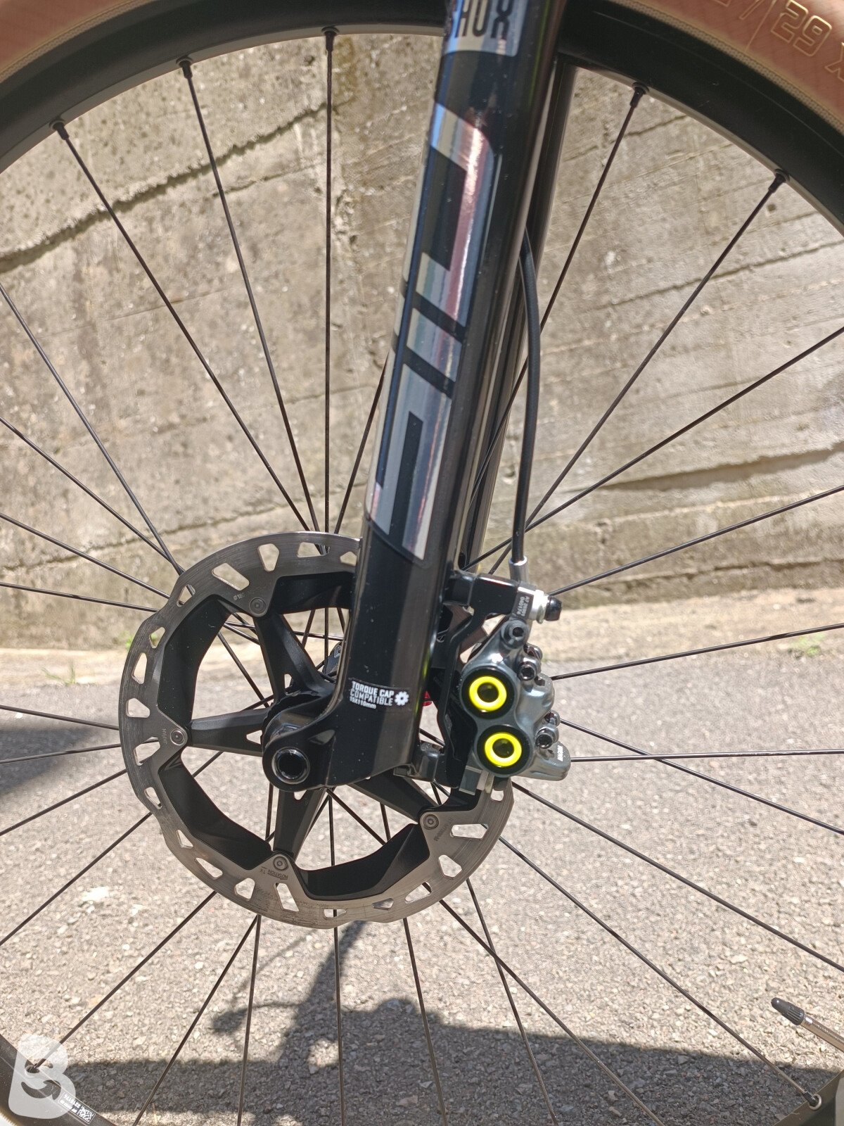 Torpado Ribot x 2019