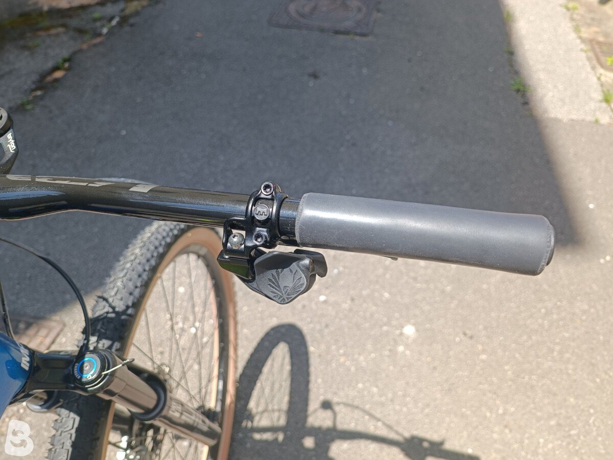 Torpado Ribot x 2019
