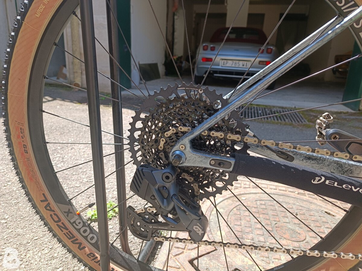 Torpado Ribot x 2019