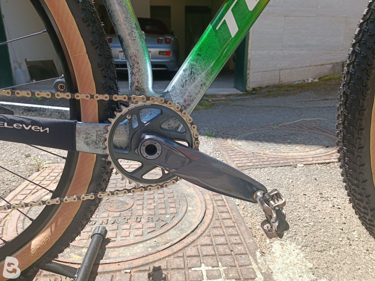 Torpado Ribot x 2019