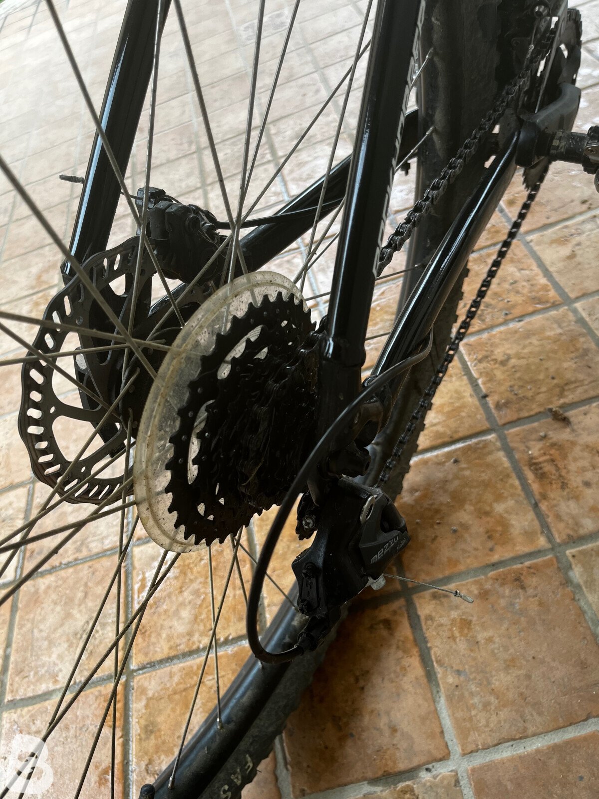 Specialized Rockhopper 2021