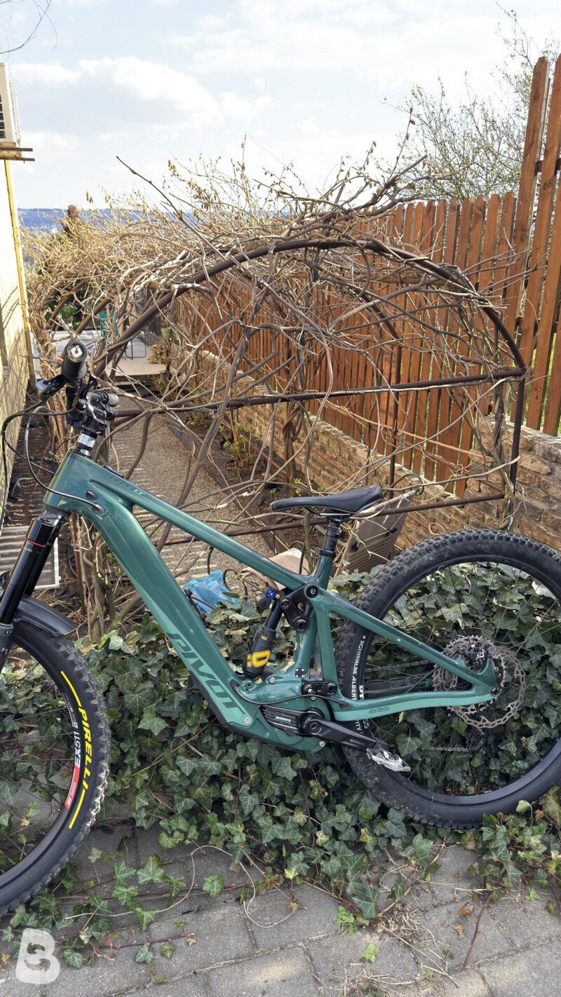 Pivot Shuttle LT GX 2024
