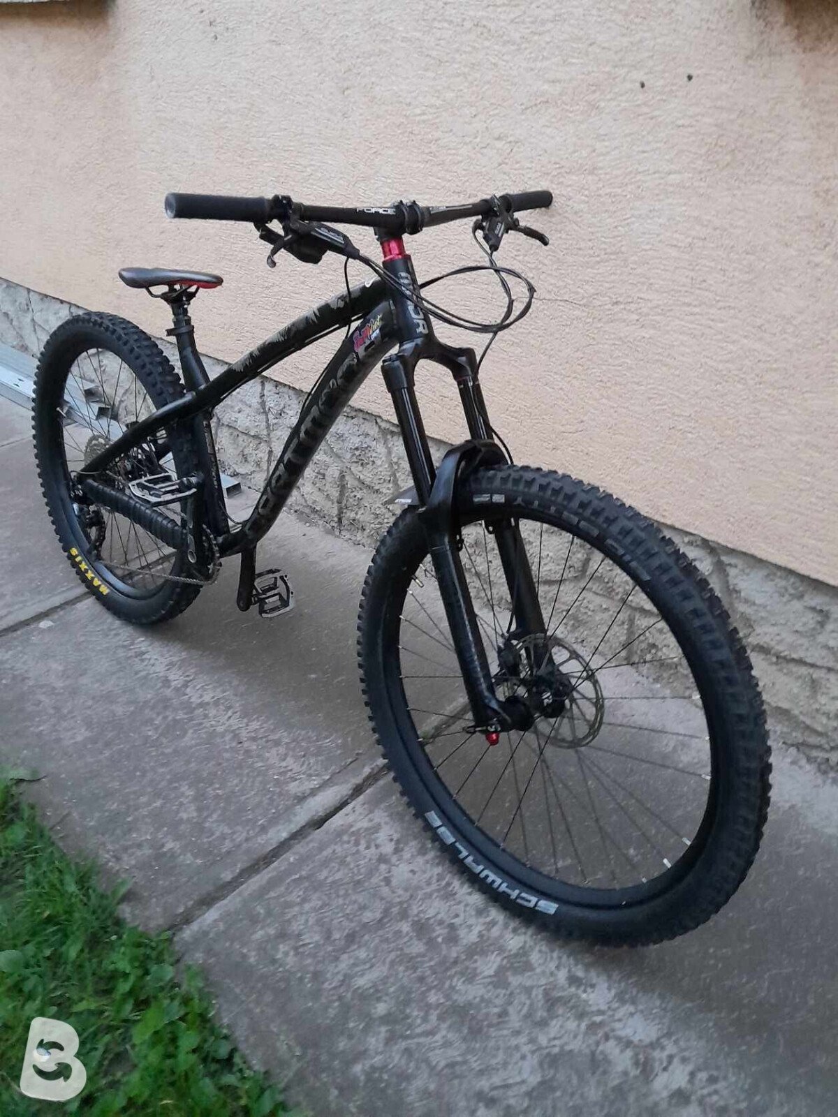 Dartmoor Hornet 2021