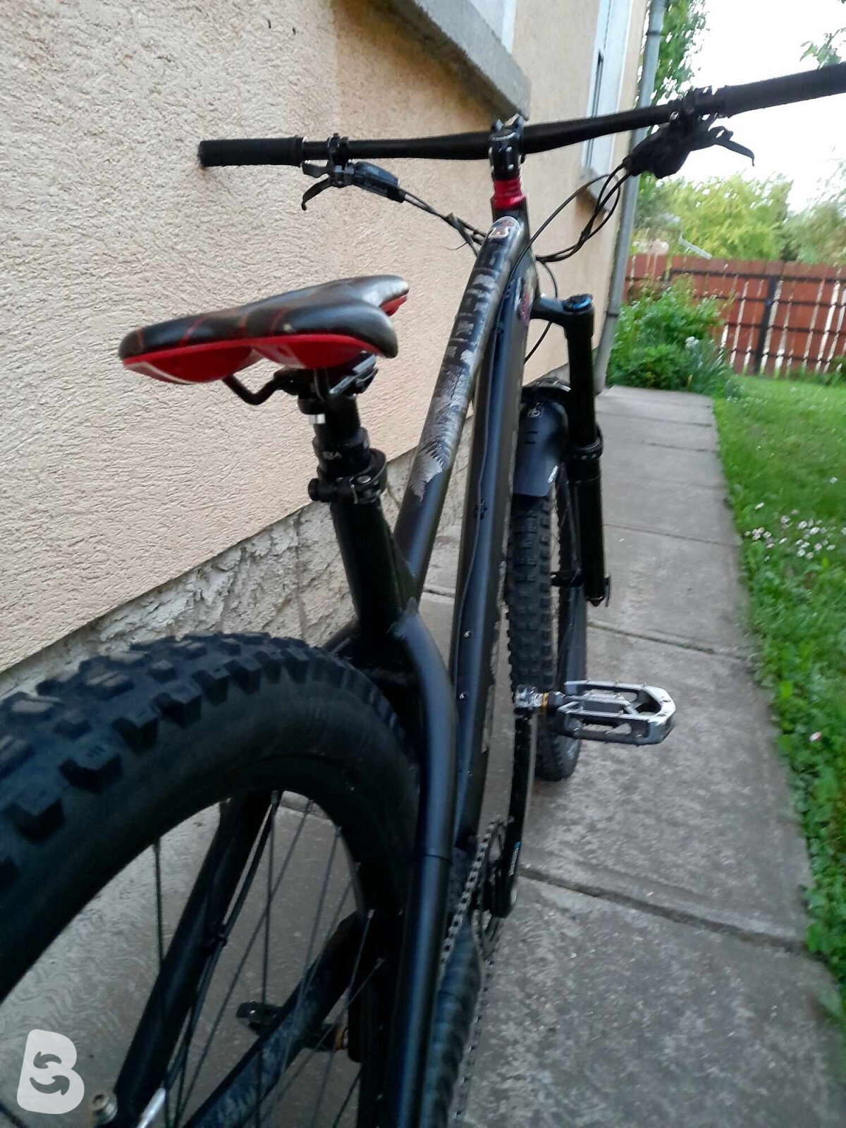 Dartmoor Hornet 2021