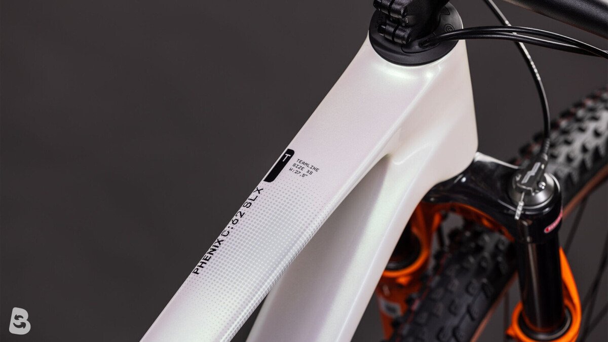 Cube Phenix C:62 Rookie SLX teamline 2026